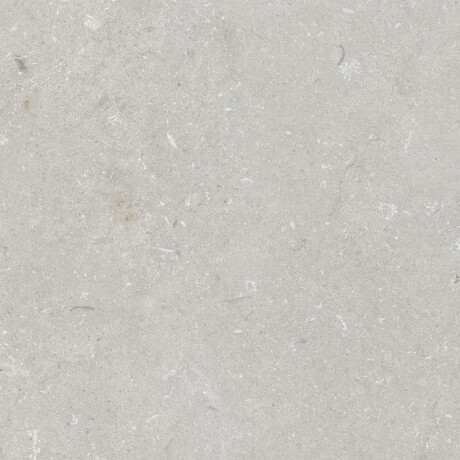60x120 cm dydžio grindų plytelės, šviesiai pilkos spalvos, matinės, A4H1093 „Shellstone Bianco“ #1