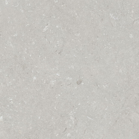 60x120 cm dydžio grindų plytelės, šviesiai pilkos spalvos, matinės, A4H1093 „Shellstone Bianco“ #2