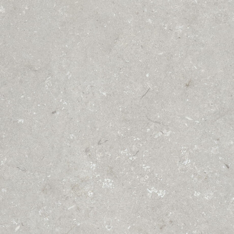 60x120 cm dydžio grindų plytelės, šviesiai pilkos spalvos, matinės, A4H1093 „Shellstone Bianco“ #3