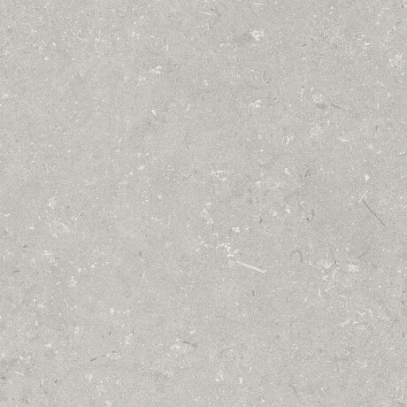 60x120 cm dydžio grindų plytelės, šviesiai pilkos spalvos, matinės, A4H1093 „Shellstone Bianco“ #4