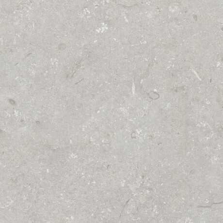 60x120 cm dydžio grindų plytelės, šviesiai pilkos spalvos, matinės, A4H1093 „Shellstone Bianco“ #5