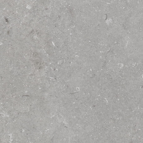 60x120 cm dydžio matinės pilkos spalvos grindų plytelės A4H1096 „Shellstone Grigio“ #4