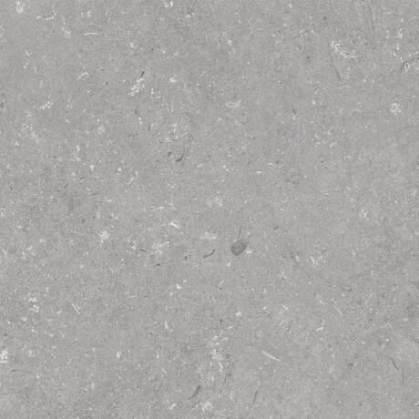 60x120 cm dydžio matinės pilkos spalvos grindų plytelės A4H1096 „Shellstone Grigio“ #5