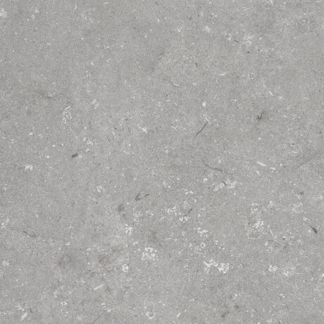 60x120 cm dydžio matinės pilkos spalvos grindų plytelės A4H1096 „Shellstone Grigio“ #6