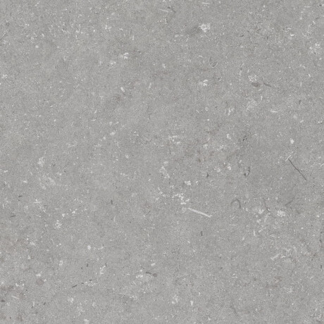 60x120 cm dydžio matinės pilkos spalvos grindų plytelės A4H1096 „Shellstone Grigio“ #7