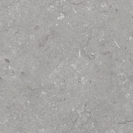60x120 cm dydžio matinės pilkos spalvos grindų plytelės A4H1096 „Shellstone Grigio“ #8