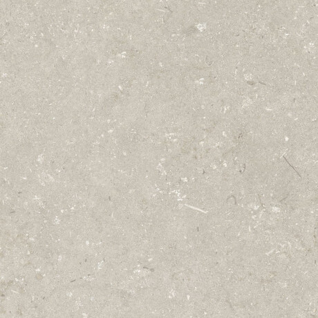 60x120 cm dydžio grindų plytelės, smėlio spalvos, matinės, A4H1099 „Shellstone Beige“ #6