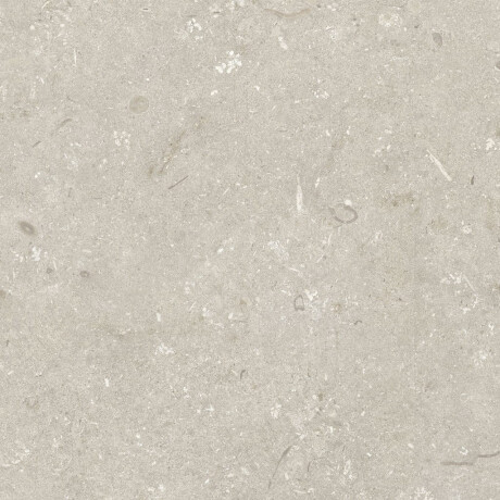 60x120 cm dydžio grindų plytelės, smėlio spalvos, matinės, A4H1099 „Shellstone Beige“ #7
