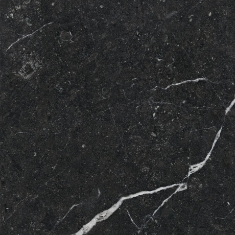 Glazūruotos grindų plytelės 60x120 su auksine gysla, matinės, rektifikuotos, A4H110 „Pierre Black“ #15