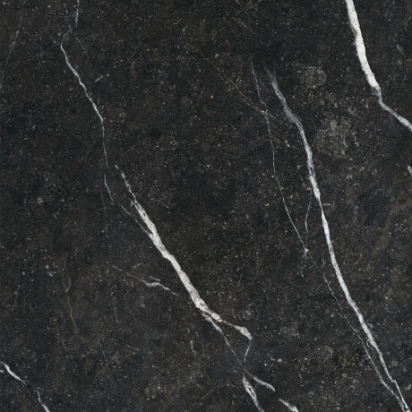 Glazūruotos grindų plytelės 60x120 su auksine gysla, matinės, rektifikuotos, A4H110 „Pierre Black“ #16