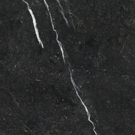 Glazūruotos grindų plytelės 60x120 su auksine gysla, matinės, rektifikuotos, A4H110 „Pierre Black“ #23