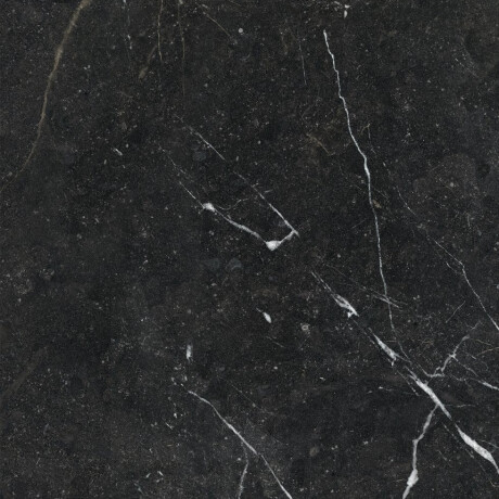 Glazūruotos grindų plytelės 60x120 su auksine gysla, matinės, rektifikuotos, A4H110 „Pierre Black“ #26