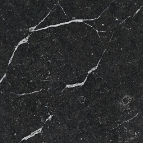 Glazūruotos grindų plytelės 60x120 su auksine gysla, matinės, rektifikuotos, A4H110 „Pierre Black“ #38