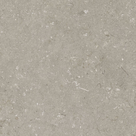 60x120 cm dydžio matinės pilkos spalvos grindų plytelės A4H1102 „Shellstone Taupe“ #4