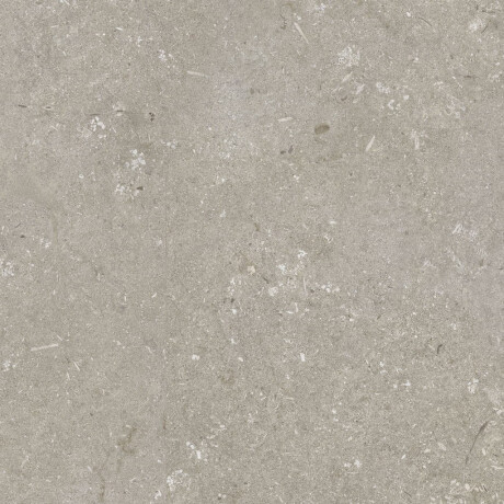 60x120 cm dydžio matinės pilkos spalvos grindų plytelės A4H1102 „Shellstone Taupe“ #5
