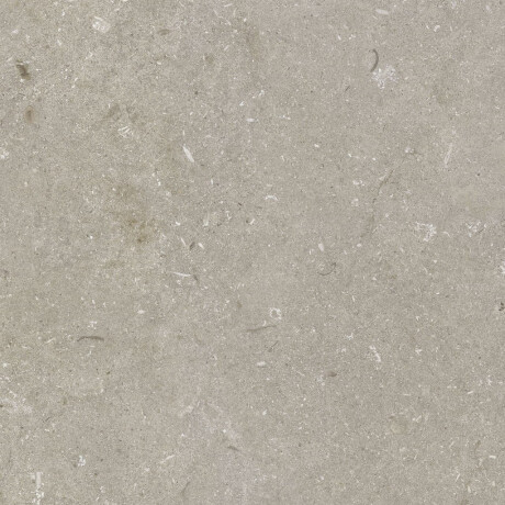 60x120 cm dydžio matinės pilkos spalvos grindų plytelės A4H1102 „Shellstone Taupe“ #6
