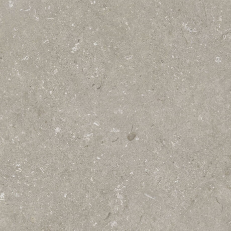 60x120 cm dydžio matinės pilkos spalvos grindų plytelės A4H1102 „Shellstone Taupe“ #7