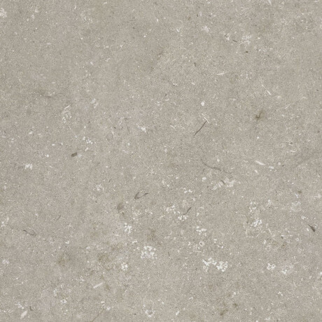 60x120 cm dydžio matinės pilkos spalvos grindų plytelės A4H1102 „Shellstone Taupe“ #8