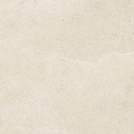 Grindų plytelės 60,5x120,5, pilkai smėlio spalvos, taupe, matinis akmuo, A4H485 „Fusion Brown“ #3