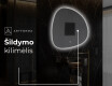 Dekoratyvinis veidrodis su LED apsvietimu EG221 #9