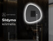 Dekoratyvinis veidrodis su LED apšvietimu EG222 #9