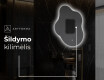 Dekoratyvinis veidrodis su LED apšvietimu EM221 #9