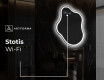 Dekoratyvinis veidrodis su LED apšvietimu EM222 #9