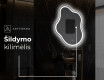 Dekoratyvinis veidrodis su LED apšvietimu EM222 #9