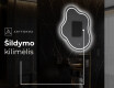 Dekoratyvinis veidrodis su LED apsvietimu EM223 #9