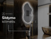 Dekoratyvinis veidrodis su LED apšvietimu F223 #8