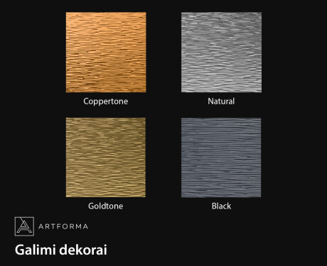 Nereguliarus veidrodis su šiuolaikiniu metaliniu rėmu L290 #2