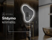 Dekoratyvinis veidrodis su LED apsvietimu V222 #9