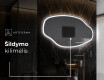 Dekoratyvinis veidrodis su led apsvietimu O222 #8