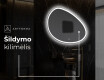Dekoratyvinis veidrodis su LED apšvietimu H222 #9