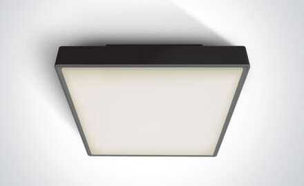 PIRNARI EA lubų šviestuvas 2x12 W E27 IP65 antracito spalvos