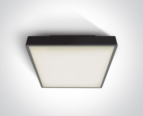 PIRNARI EA lubų šviestuvas 2x12 W E27 IP65 antracito spalvos