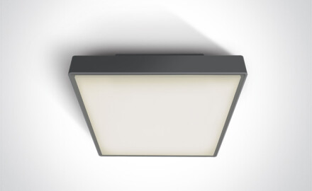 PIRNARI EA lubų šviestuvas 2x12 W E27 IP65, baltas