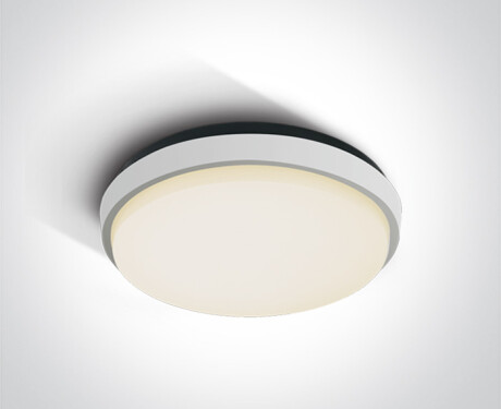 FASIDERI 2 lubų šviestuvas, 30 W, 3000 K, IP54, antracito spalvos