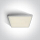 LIVISI lubinis šviestuvas 25 W, 4000 K, IP54, baltas #1
