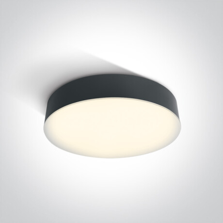 PASIO lubinis šviestuvas 30 W, 3000 K, IP54, baltas #1