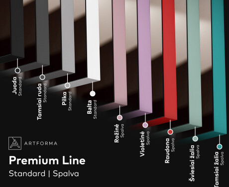 Vertikalus apšviestas vonios veidrodis LED L49 #3