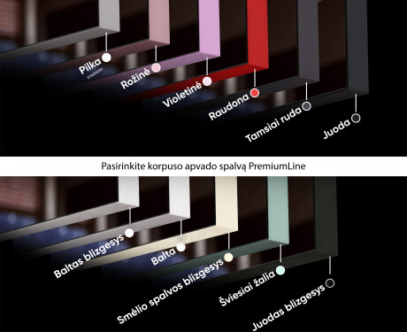 SMART Veidrodis su apšvietimu LED L47 Apple #6