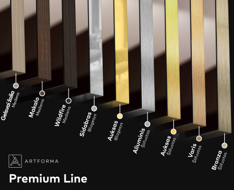 SMART Veidrodis su apšvietimu LED L77 Samsung #9