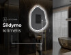 Dekoratyvinis veidrodis su LED apsvietimu E222 #9